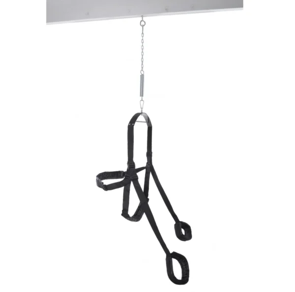 Fetish Fantasy Series Sex Swing - Image 7